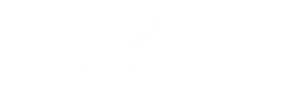 saint gobain branca