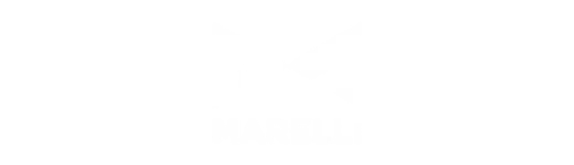 marelli branca